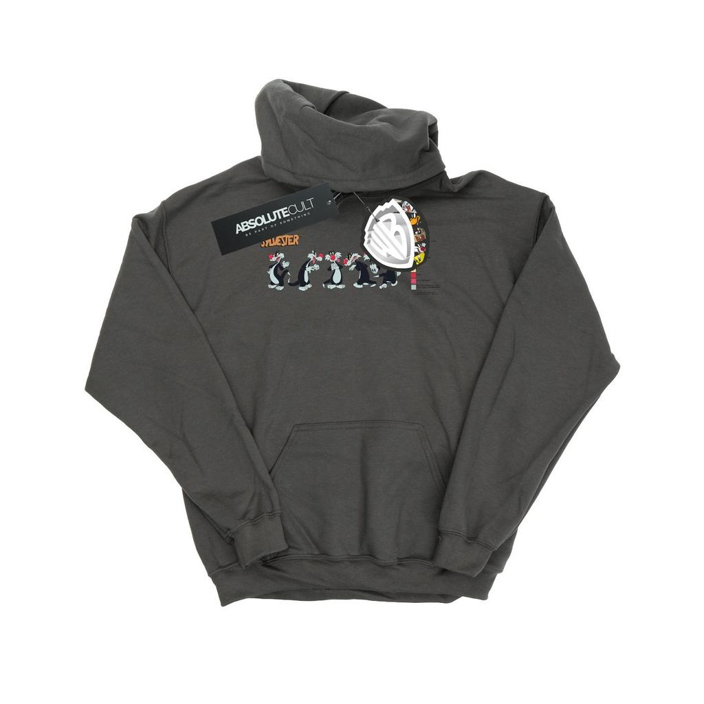 Looney Tunes Womens/Ladies Sylvester Colour Code Hoodie