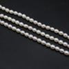 Luxury White Natural Freshwater Rice Shape Pearls 5-5.5mm, 36cm Strand Handmade Wedding Jewelry Accessories DIY Crafts
