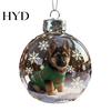 Handmade Glass Christmas Decorations Bird Acrylic Ornaments 2D Cardinals Animal Tree Elegant Decor Handcrafted Holiday Hanging for Home 3D Balls