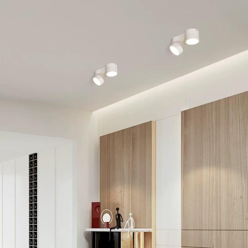 Adjustable LED Double-Head Smart Ceiling Spotlight for Living Room and Aisle