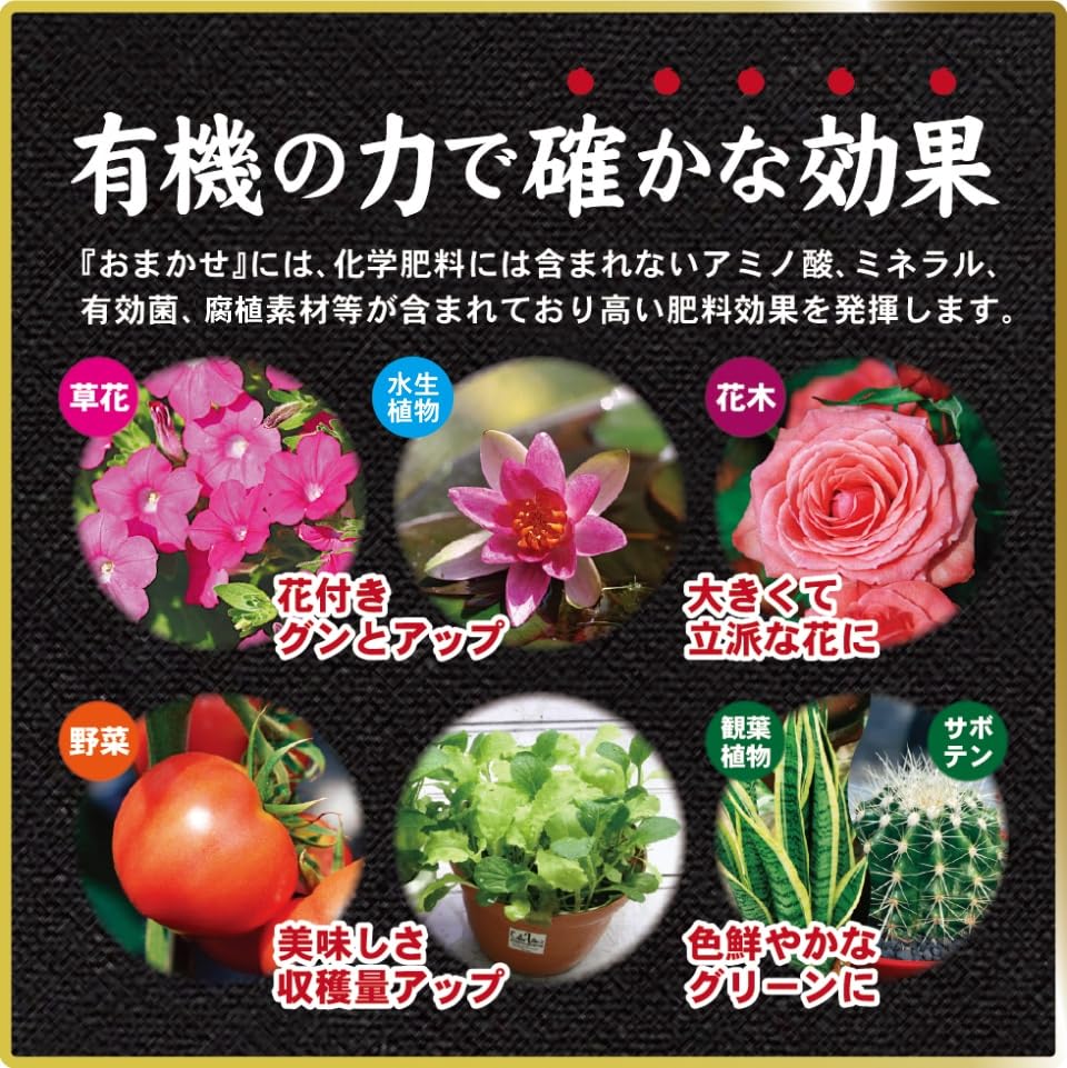 Tosho Super Fermentiertes Öl Kasu Omakase Mittelkorn 700g