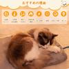 Pet Hot Carpet Pet Heating Mat ENTEKE Dog Cat Hot Mat Chewing Habit Prevention 10 Level Temperature Adjustment Timing Function Pet Heating Mat Cold