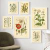 Vintage Botanische Wandkunst Antike Blumendrucke Retro Mohn Gänseblümchen Löwenzahn Poster für Boho Wohnzimmer Schlafzimmer Küchen Dekoration