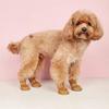 4pcs/Set Lamb Wool Pet Shoes, Suitable for Small/Medium Pets, Warm, Fashionable, Anti-Slip