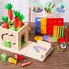 Non-Toxic Wooden Montessori Toys Play Kit Sorting Matching Toy Coin Ball Box Multi-Function Stick Pull Radish Game Baby Learning Kids Toy