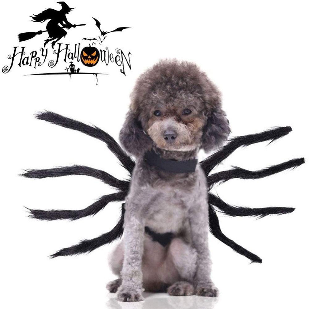 Vtipný kostým pavouka pro domácího mazlíčka Cosplay Kočky Párty Cosplay Rekvizity Halloween Pavouk Kostým pro domácího mazlíčka Párty