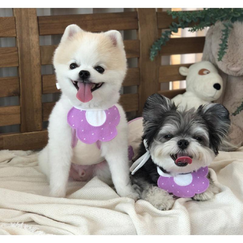 

Cat Saliva Wipes, Pet Supplies, Clothes, Dog Decoration Supplies, Cat Triangular Wipes, Dog Scarves M