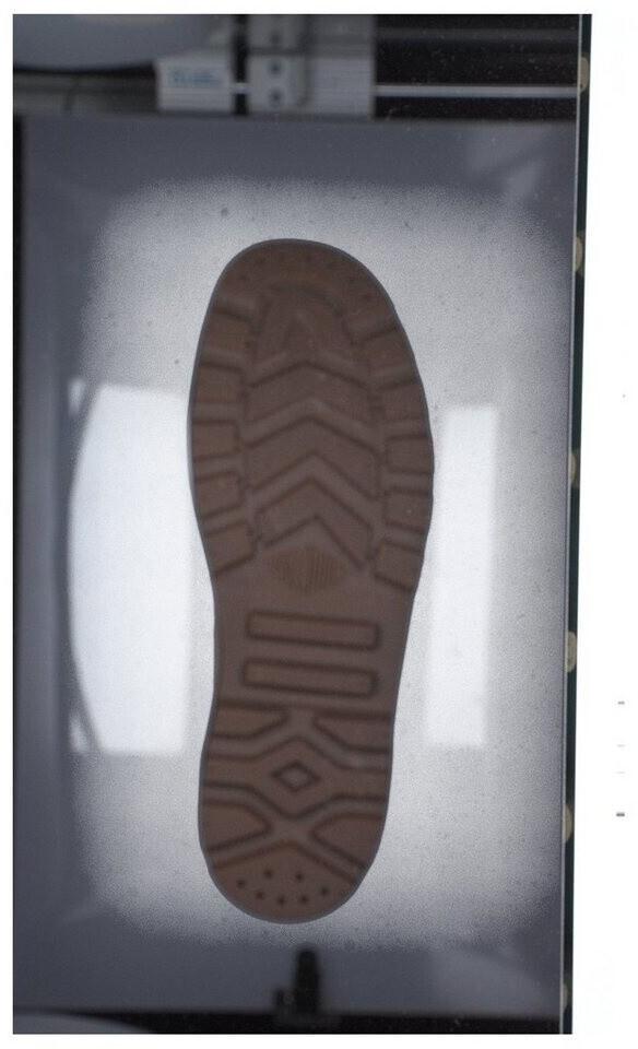 Boots Palladium Pampa Hi 02352-209-M Woodlin Men's Brown