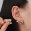 Elegant Star Crystal Earrings Claw Shape Zircon Earrings Women Sparkling Studs  For Men And Women