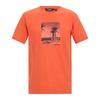 Mens Cline IX Beach T-Shirt