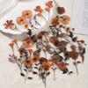 40 Pcs Dried Flower Collection Record PET Stickers Decorative Handmade Scrapbooking Material Diary Album Craft Supplies
