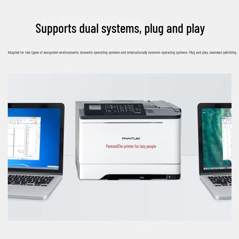 Pantum CP2510DN A4 Color Laser Printer CN plug (adapter included)
