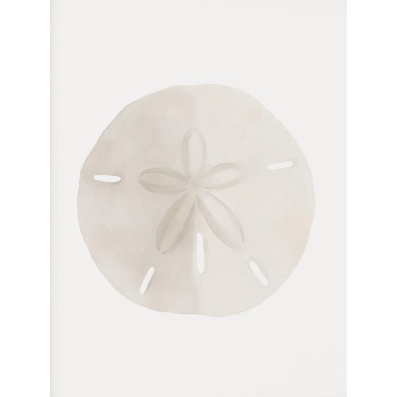 Beach Crab Conch Coral Starfish Shell Sand Watercolor Poster Canvas Printing Coastal Wall Art Picture for Living Room Home Decor