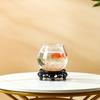 Transparent Mini Round Turtle and Goldfish Tank for Home or Office