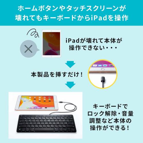 Sanwa Supply klávesnice pro iPad s kabelovým připojením Lightning, černá SKB-IP3BK
