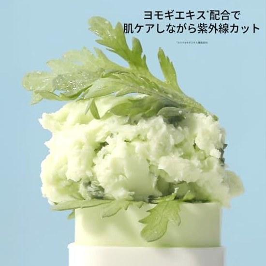 BOJ Matte Sun Stick Mugwort + Camelia Beauty Joseon Yomogi 18g SPF50+ PA++++
