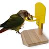 Pet Bird Parrot Funny Basketball Shoot Hoop Balls Puzzle Game Chew Play Toy