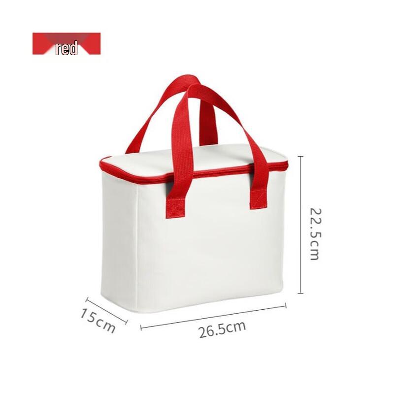 Insulated Portable Picnic & Lunch Bag