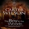 The Boy In the Woods by Carter Wilson Paperback Book 9781847517883