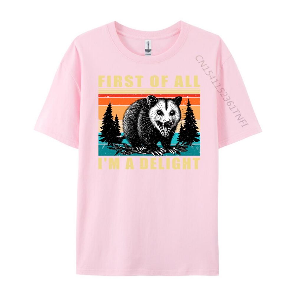 First Of All I M A Delight Angry Opossum Possum Wholesale Tshirts 100 Pcs T-Shirt Tops T Shirt Character