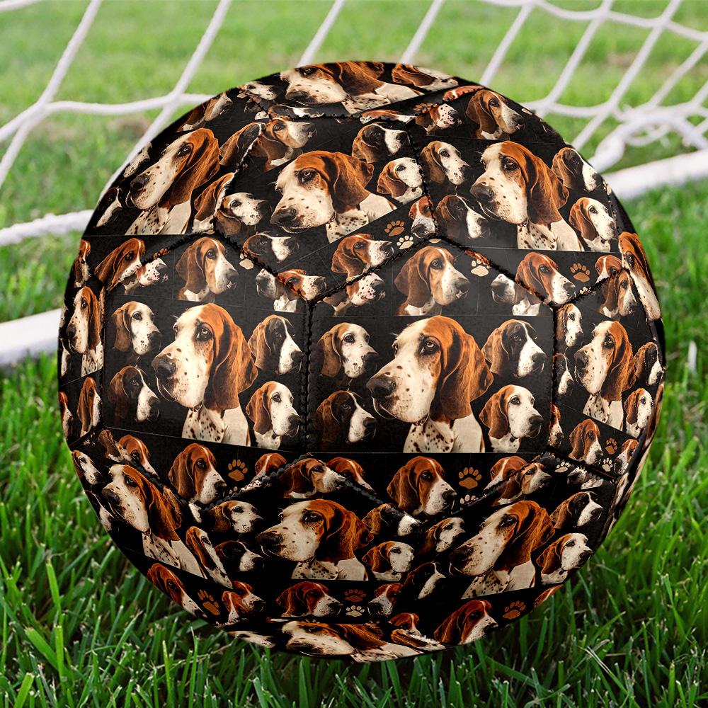 Afghan Hound Indoor Soccer Ball Size 5 Colorful All Ages Machine Stitched PVC Competition Ready Durable High-Bounce