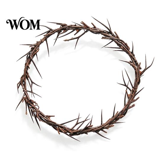 Eerie Thorns Decoration Wreath, Realistic Spiked Branches, Halloween Horror Theme Decoration, Party Decor Dead Branch Spooky for Haunted House