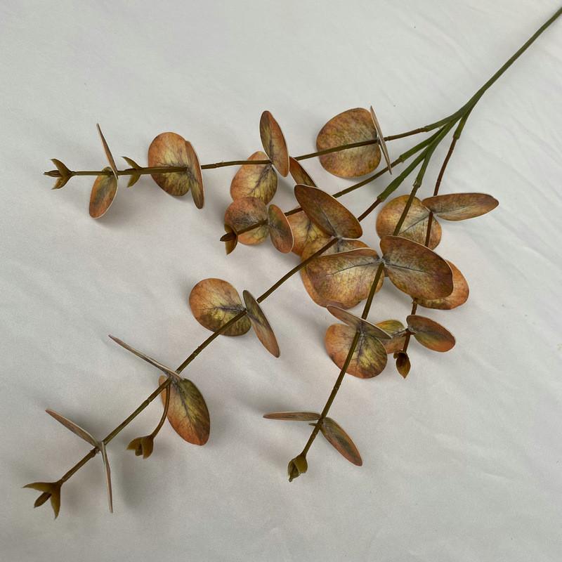 Peníze Eukalyptové Listy Stonky Pro Vnitřní Venkovní Svatba Dárek Dekorace