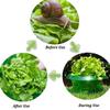 10Pcs Plants Slug Protection Rings Green Planter Flower Pot Snail Vegetables Cover Reusable Pest Control Trapper Garden Tool