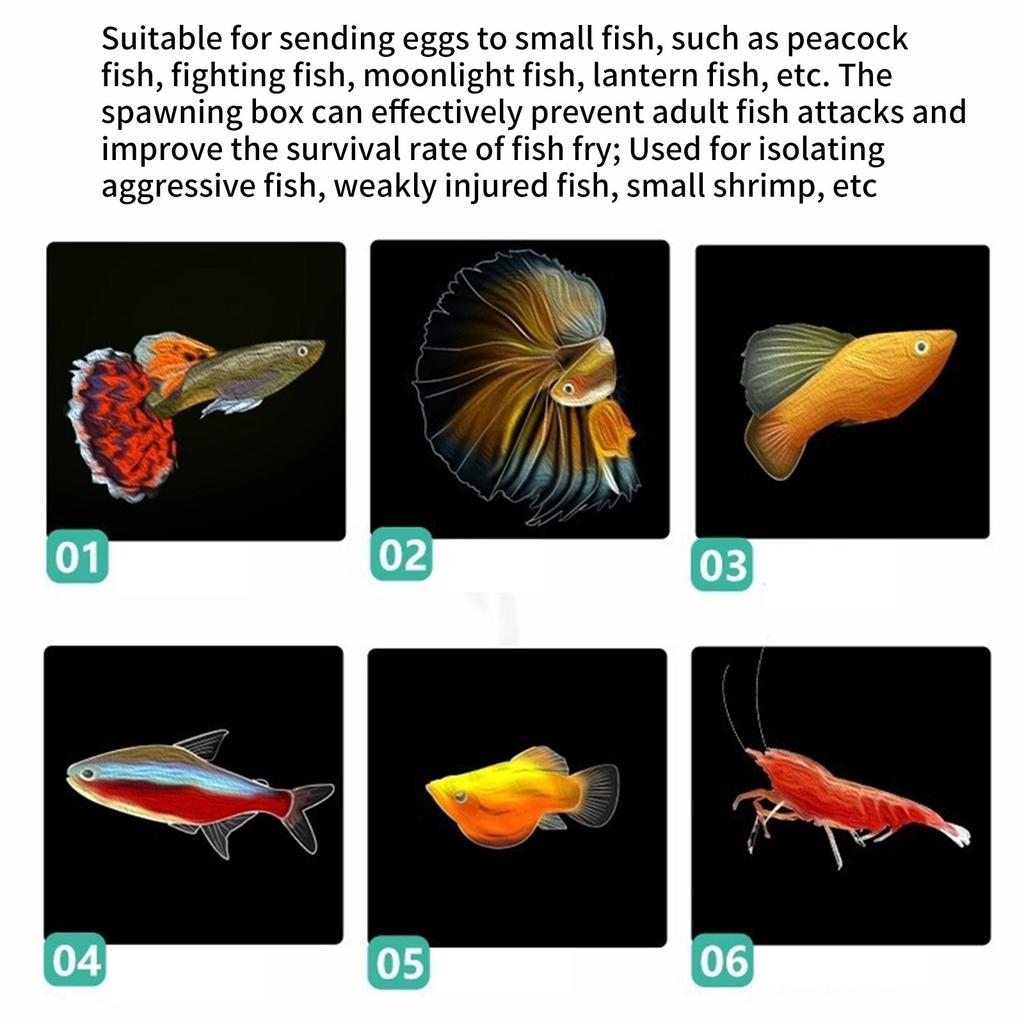 Hanging Breeding Tanks for Aquarium Small Fish Isolation Box Hatchery Box for Fish Clear Fish Spawning Box