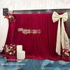 Golden Wrought Iron Telescopic Wedding Arch Stand