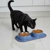 Stainless Steel Pet Bowls Double Bowl Set for Dogs & Cats - Non-Slip Food Water Feeder Dish