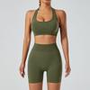 Yoga Outfit Women Seamless High Elastic Shorts Sports Bra Set With Moisture Wicking For Fitness And Running