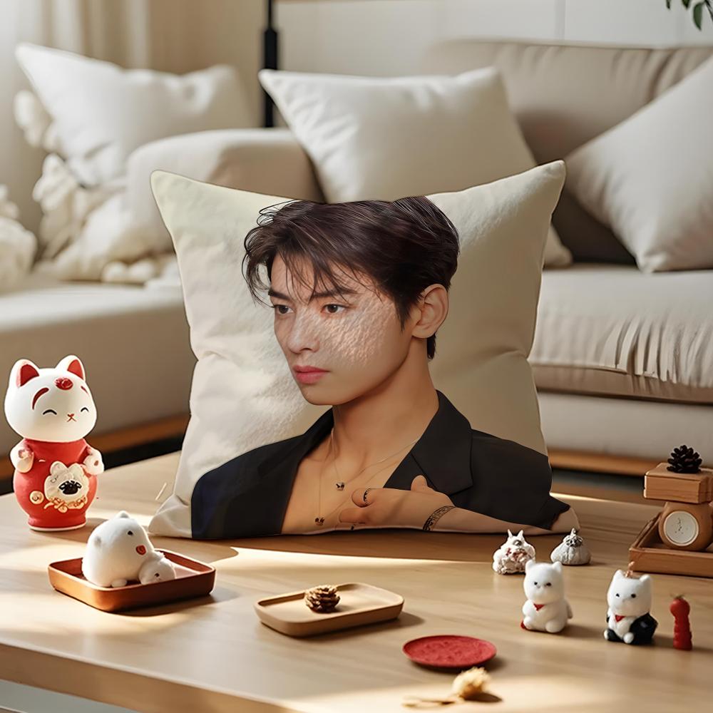 Singer Cha E-Eun W-Woo Cushion Cover Silky Short Plush With Invisible Zipper Dustproof Sofa Pillow Cover For Home Decor