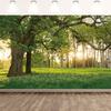 Acessórios para estúdios fotográficos – Pepel de parede para estúdio fotográfico