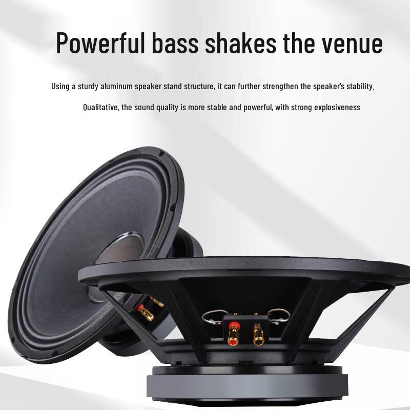 XEW-10S Professional Full-Range Conference Audio Speaker (CN Version)