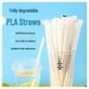 Hanyou Individually Wrapped PLA Straws