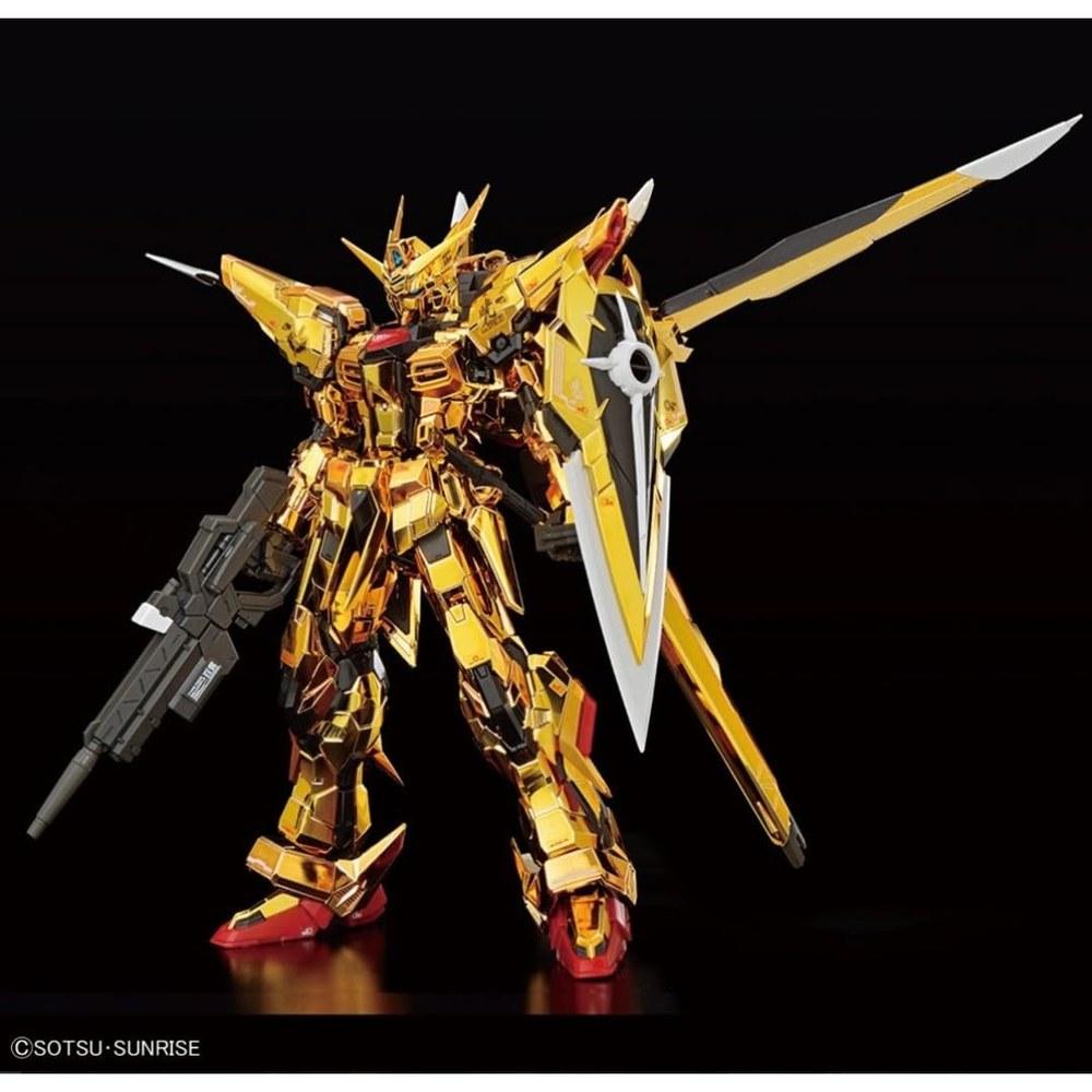 Bandai RG 1/144 Gundam Base Limited Akatsuki Gundam Oowashi Equipment HG 1/144 Zeus Silhouette Custom Joint Parts Set Mobile Suit Gundam SEED DESTINY