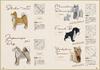 Origami Cats & Dogs Premium