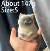 New Product In Stock Obese Cat Small Size Cute And High Appearance Simulation Doll Squeezing And Relaxing Tool Essential