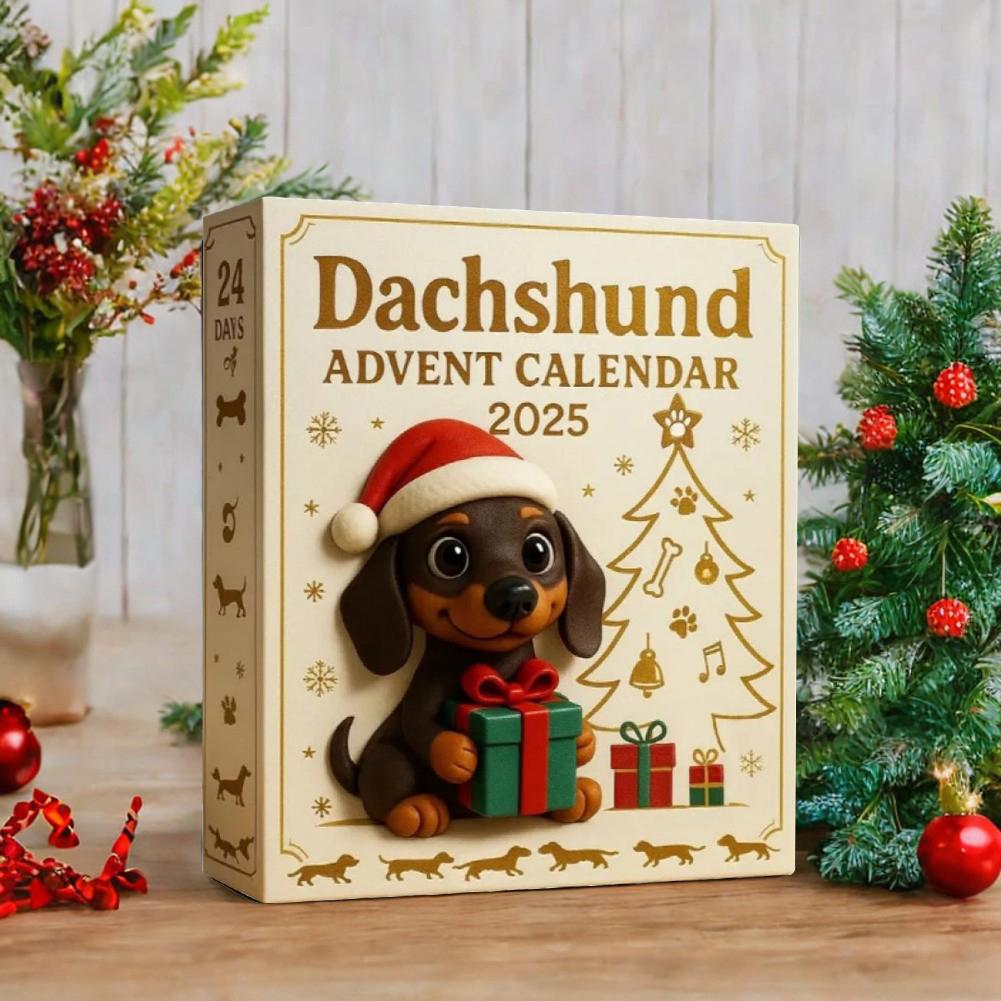 Cute Dog Christmas Countdown Calendar Unbox Festive Joys With Adorable Dachshunds For Winter Display
