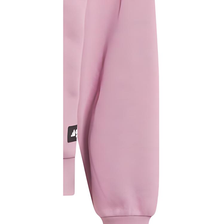 Adidas Legends Hoodie With Logo Men Tops Purple IL2314