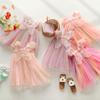 Meisjes Zomer Regenboog Tule Prinsessenjurk Met Pofmouwen En Volle Rok Voor Kinderfeestjes