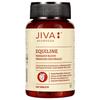 Jiva Equiline Tablets 500mg | Ayurvedic Herbal Supplement for Mind Clarity & Energy Support | 120 Tablets X Pack of 3