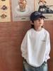 Boys' Korean Style Long-Sleeve Cotton T-Shirt - Trendy, Casual & Simple for Autumn/Winter 2025