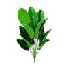 Faux Plantain Plant Artificial Banana Leaf Tree Realistic Fake Greenery