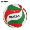 Molten Competition & Training Volleyballs