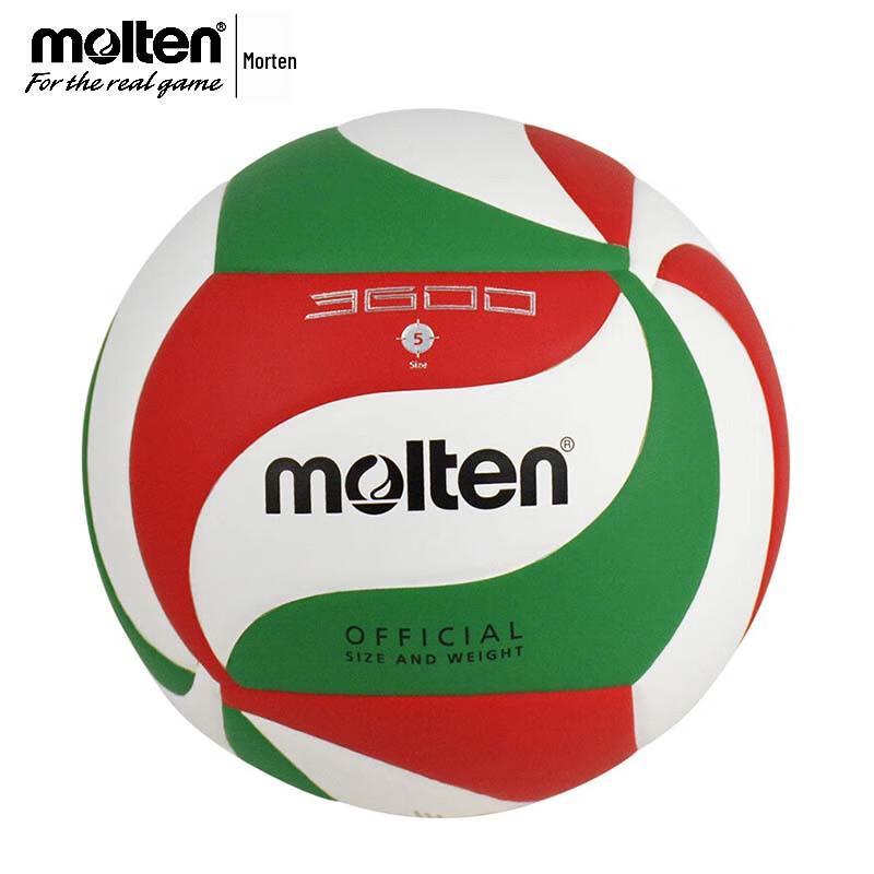 Molten Competition & Training Volleyballs