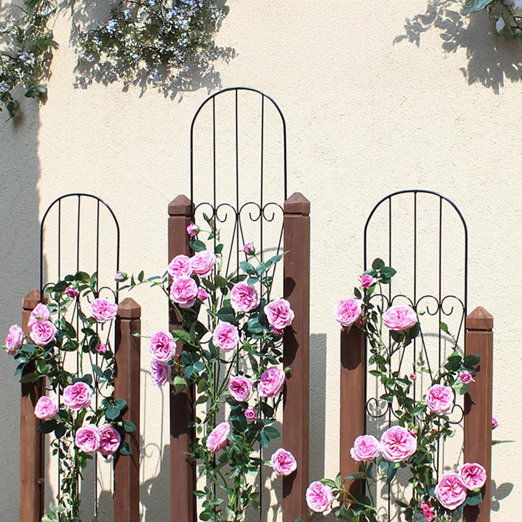 Takasho Simple Trellis 150, Finished, Approx. 29cm Wide x 0.7cm Deep x 150cm High, TSS-02