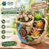 Handmade Cement Succulent Pot Creative Micro Landscape Planter