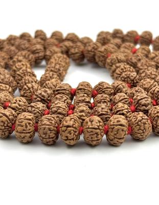 6 Mukhi Rudraksha Japa Mala 108+1 Beads | Certified Meditation Mala for Spiritual Practice & Chakra Healing | Authentic Rudraksha Beads